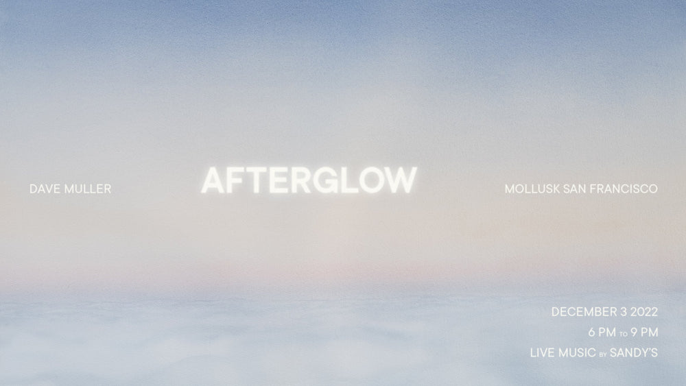 Afterglow - A Solo Exhibition by Dave Muller at Mollusk San Francisco