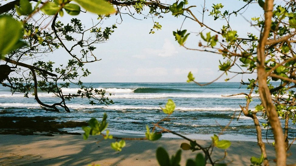 Photography Feature: Matt Grote - Mollusk Surf Shop