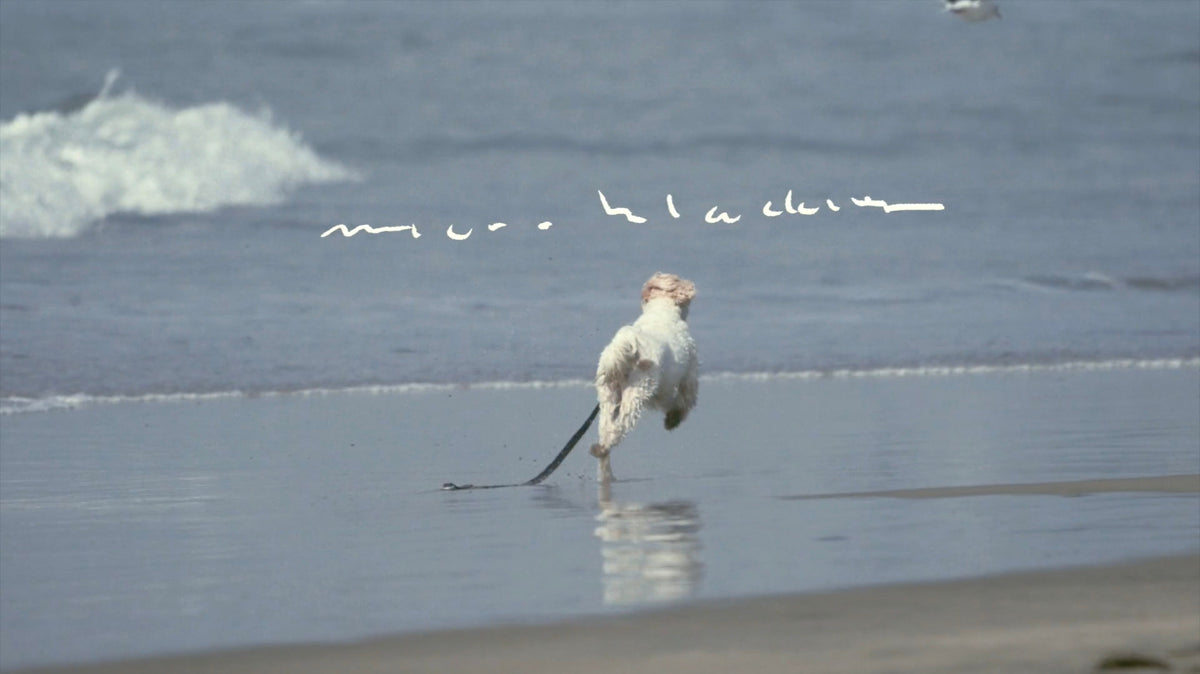 Stoke Video - Mollusk Surf Shop