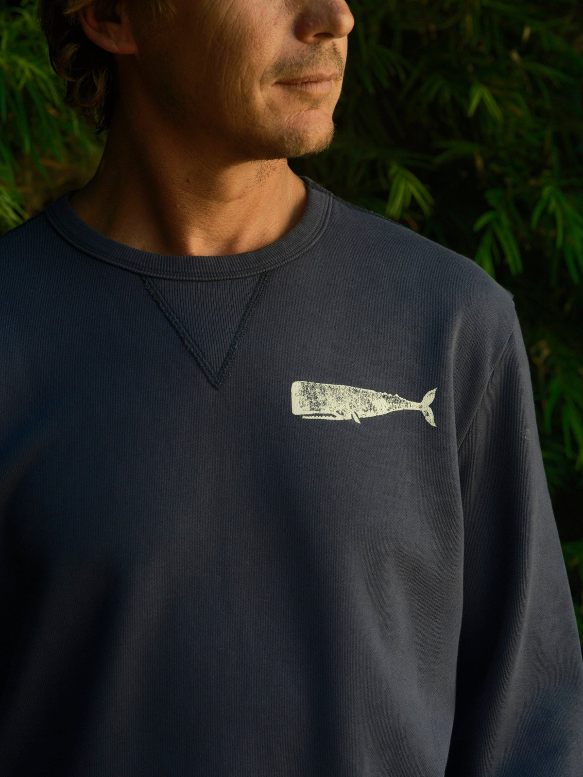 Max Whale Crew - S - Mollusk Surf Shop