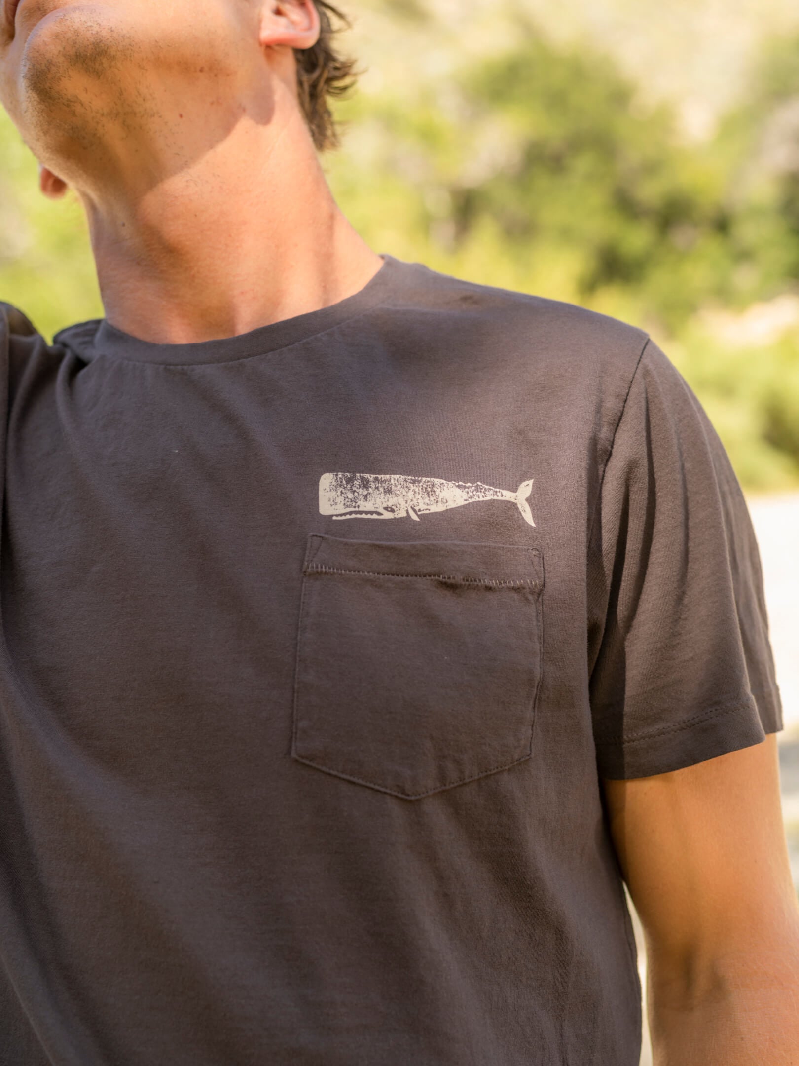 Olde Whale Tee - S - Mollusk Surf Shop