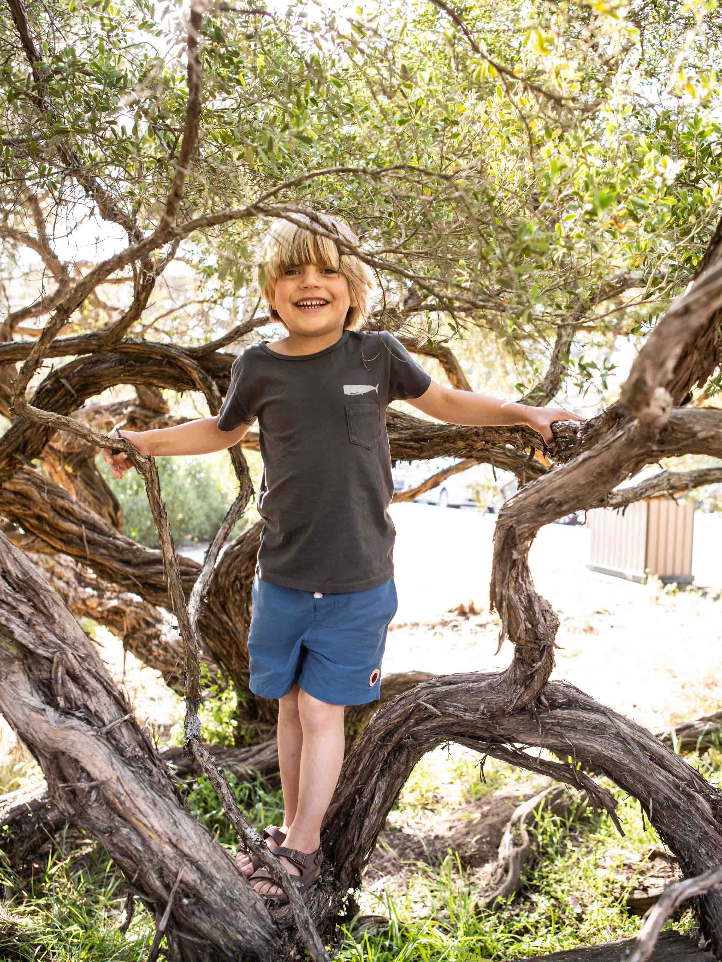 Kids Olde Whale Tee - 2yr - Mollusk Surf Shop