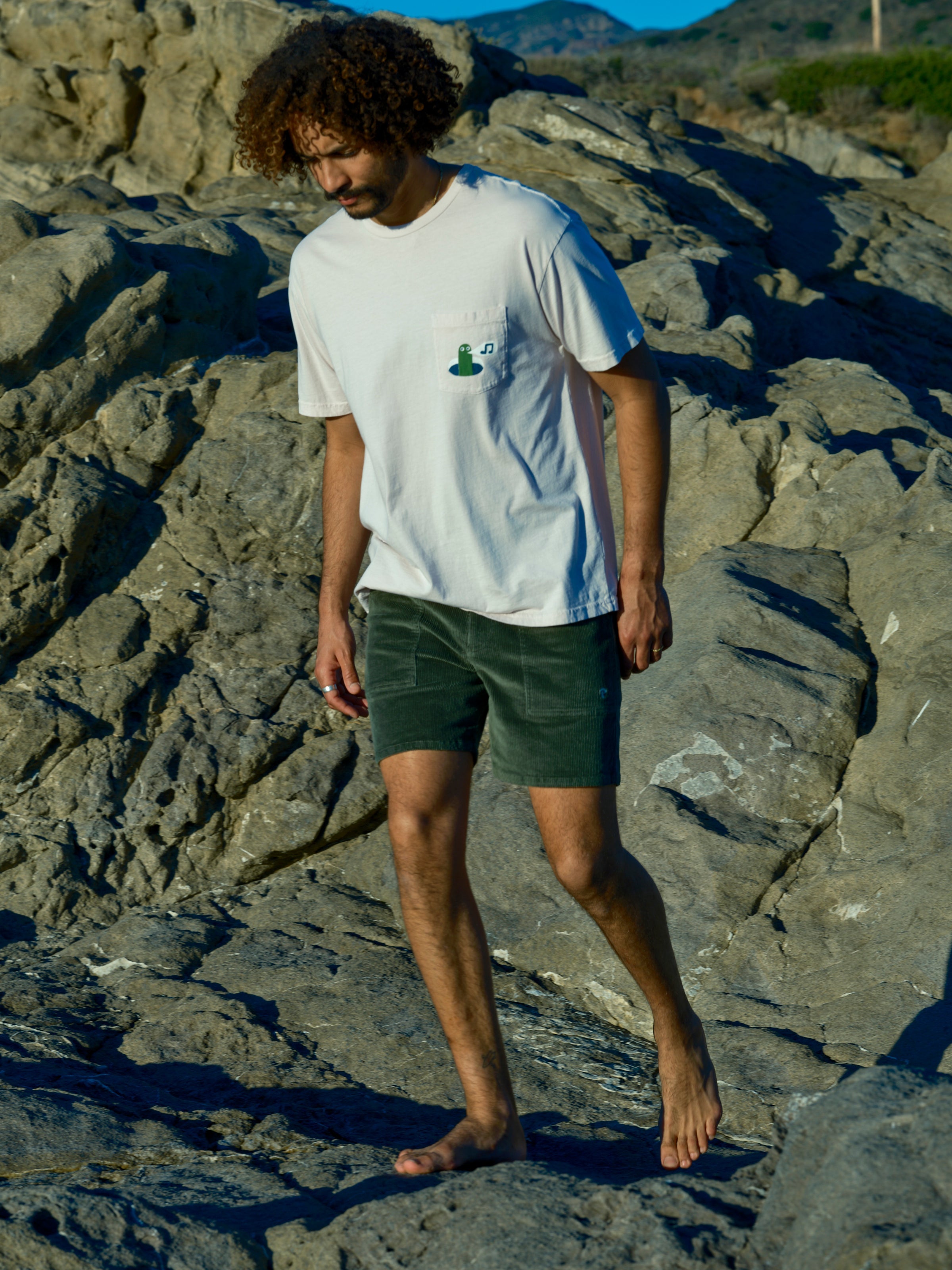 Shroom Shorts - S - Mollusk Surf Shop