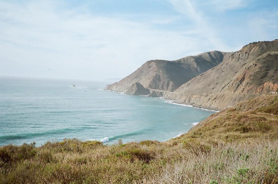 Alex Swanson's Summer Selects - Mollusk Surf Shop