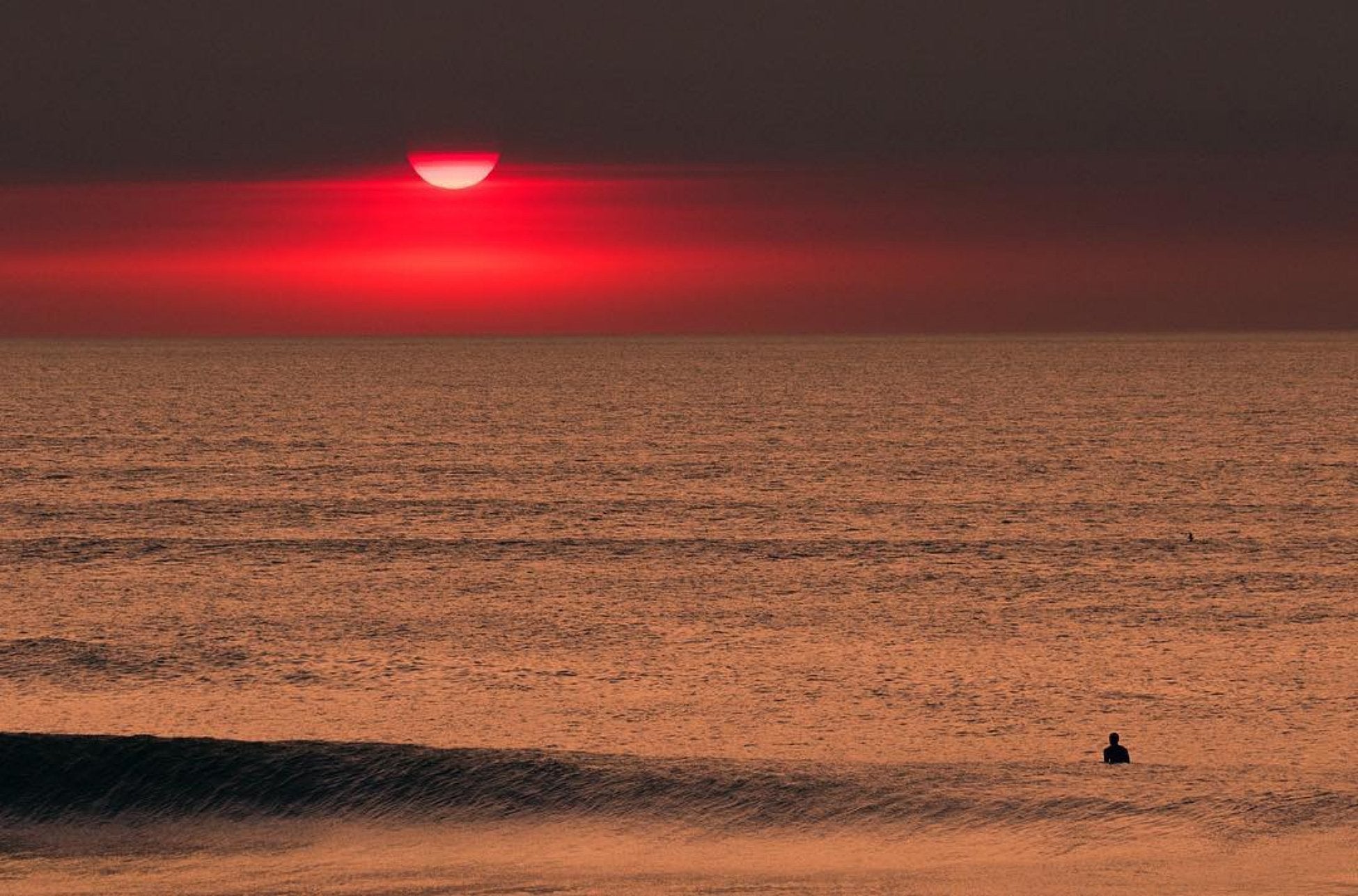 California Fire Support - Mollusk Surf Shop