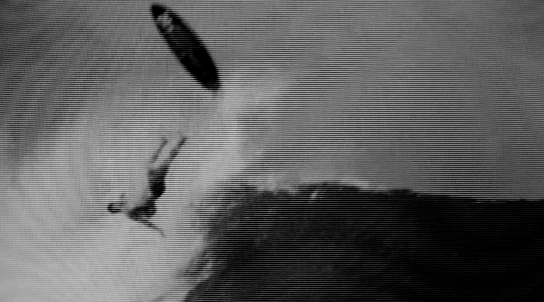 Cluster Screening 2/15 - Mollusk Surf Shop