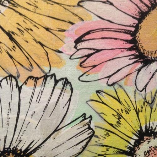 Convergence: Sage Vaughn + Rob Machado