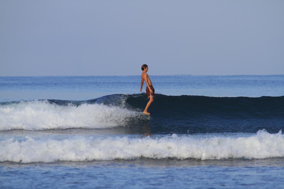 Forbidden Trim Screening! - Mollusk Surf Shop