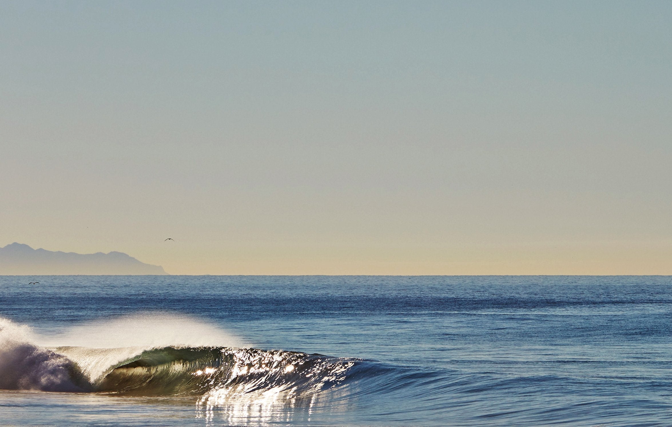 LA Going Off! - Mollusk Surf Shop