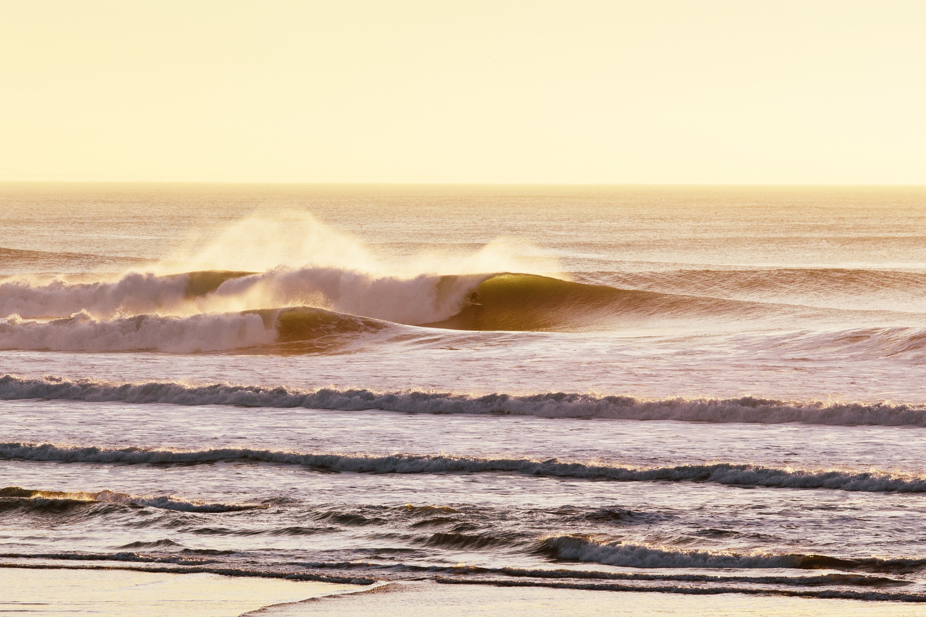 OB Going Off! - Mollusk Surf Shop