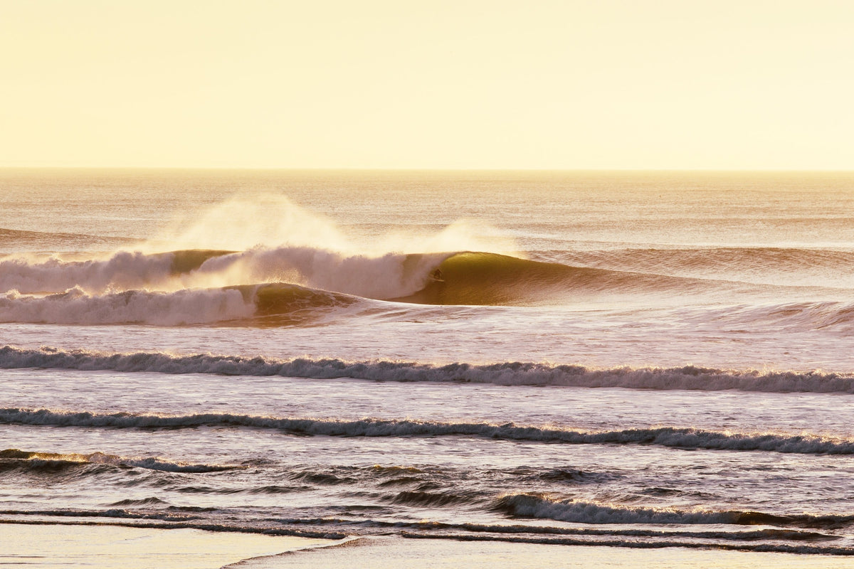 OB Going Off! - Mollusk Surf Shop
