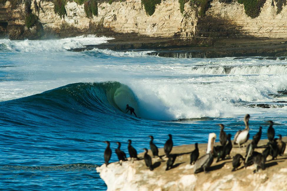 Photography Feature: Kevin Jansen - Mollusk Surf Shop