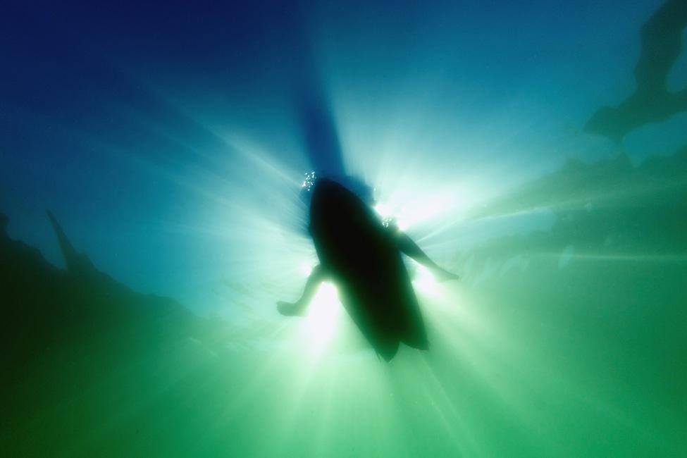 Photography Feature: Matt O'Brien - Mollusk Surf Shop