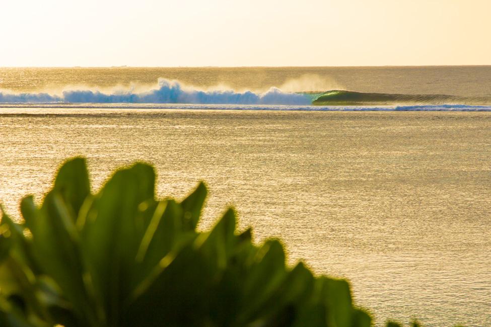 Photography Feature: Michael Kew - Mollusk Surf Shop