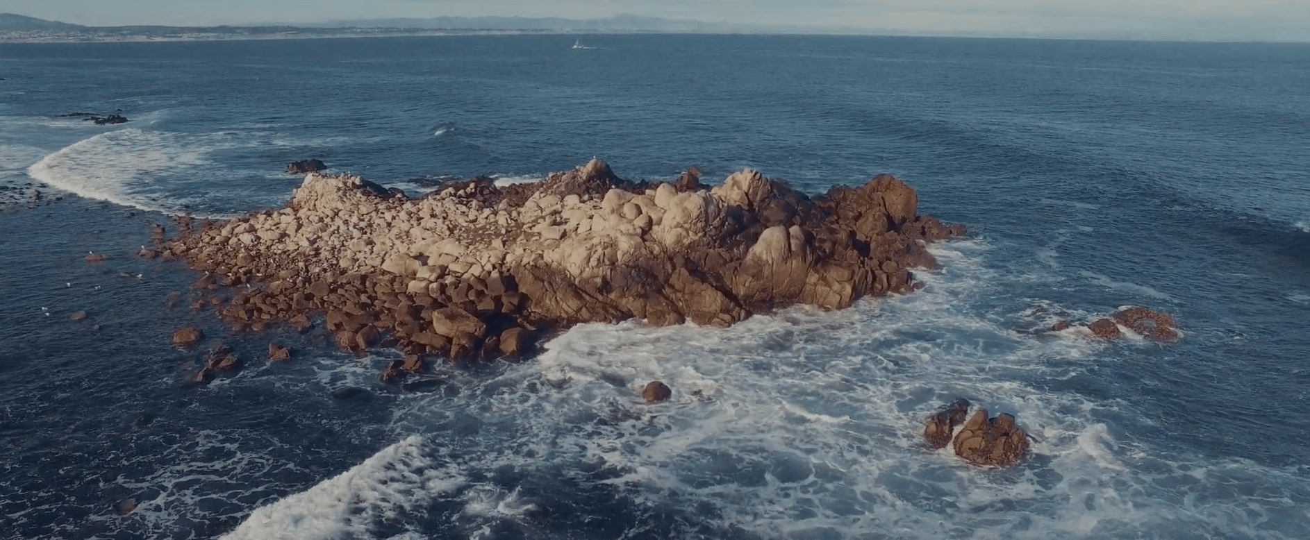 Stoke Video - Mollusk Surf Shop