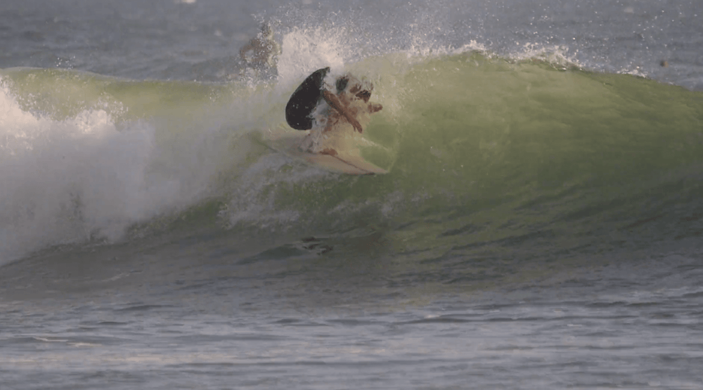 Summer Dreamin by Jack Coleman