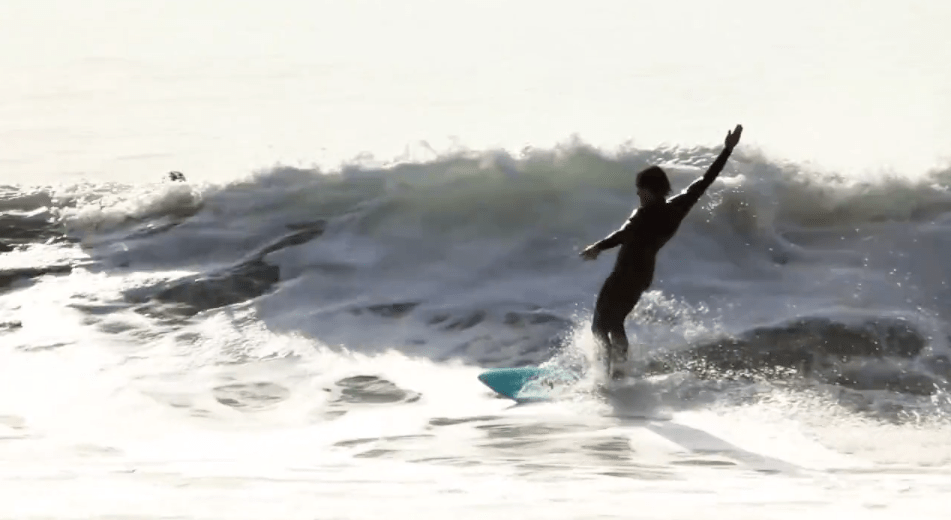 Travocadler - Mollusk Surf Shop