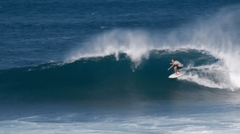 Will Adler - Trade Winds - Mollusk Surf Shop