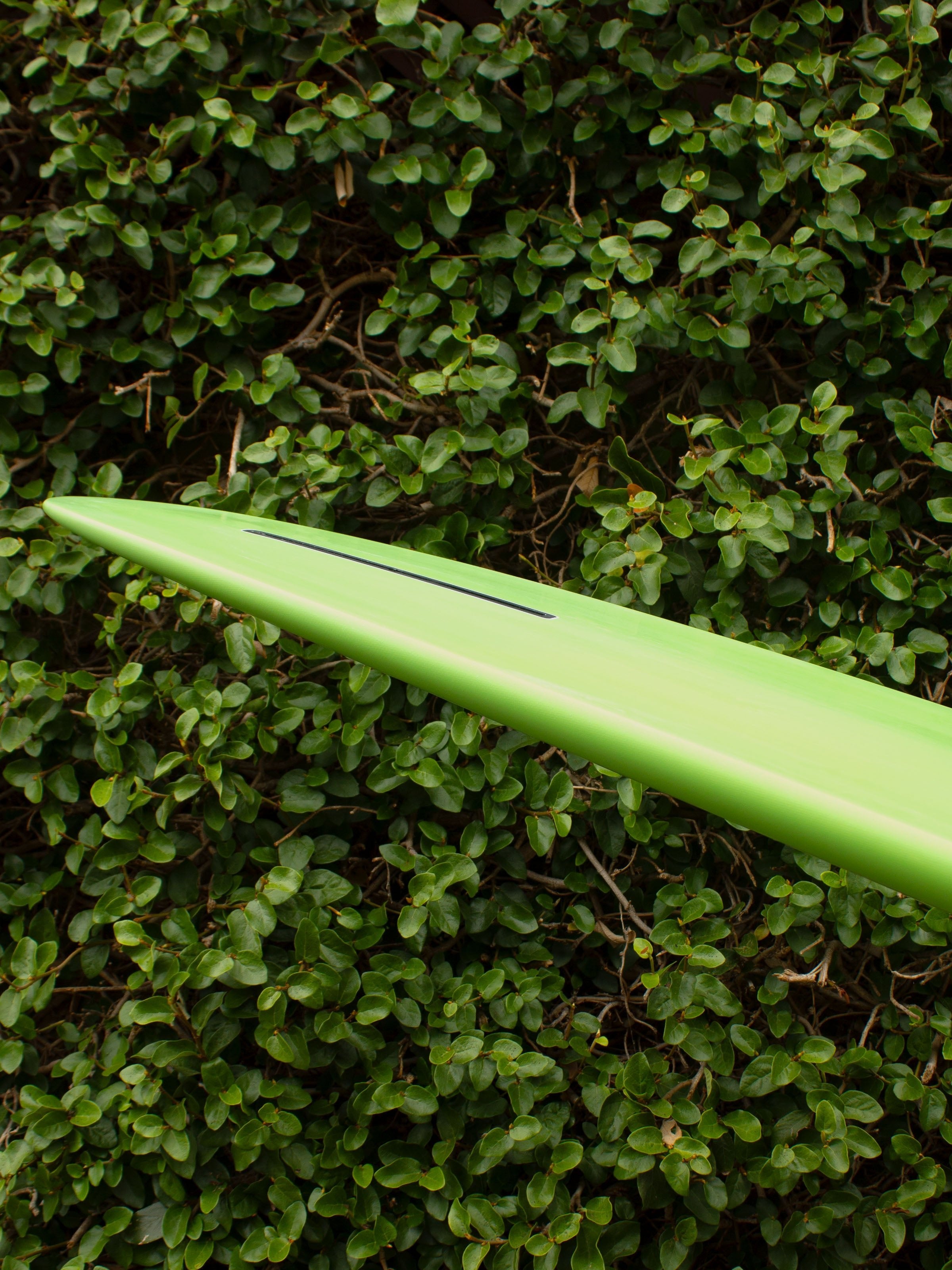 10'0 Radio Power Glider - Mollusk Surf Shop - description