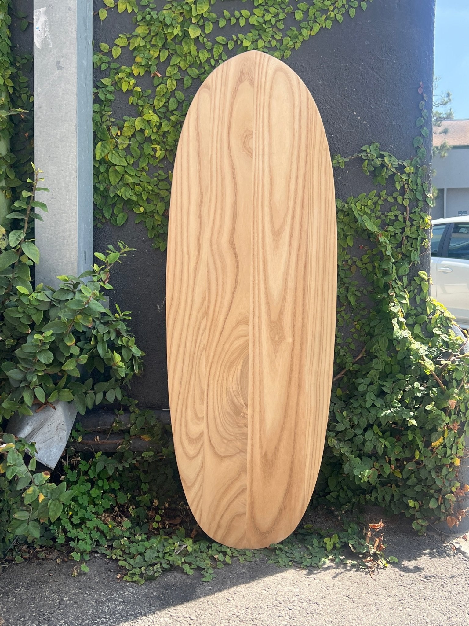 3'10 Wegener Pumpkin Seed Paipo - Mollusk Surf Shop