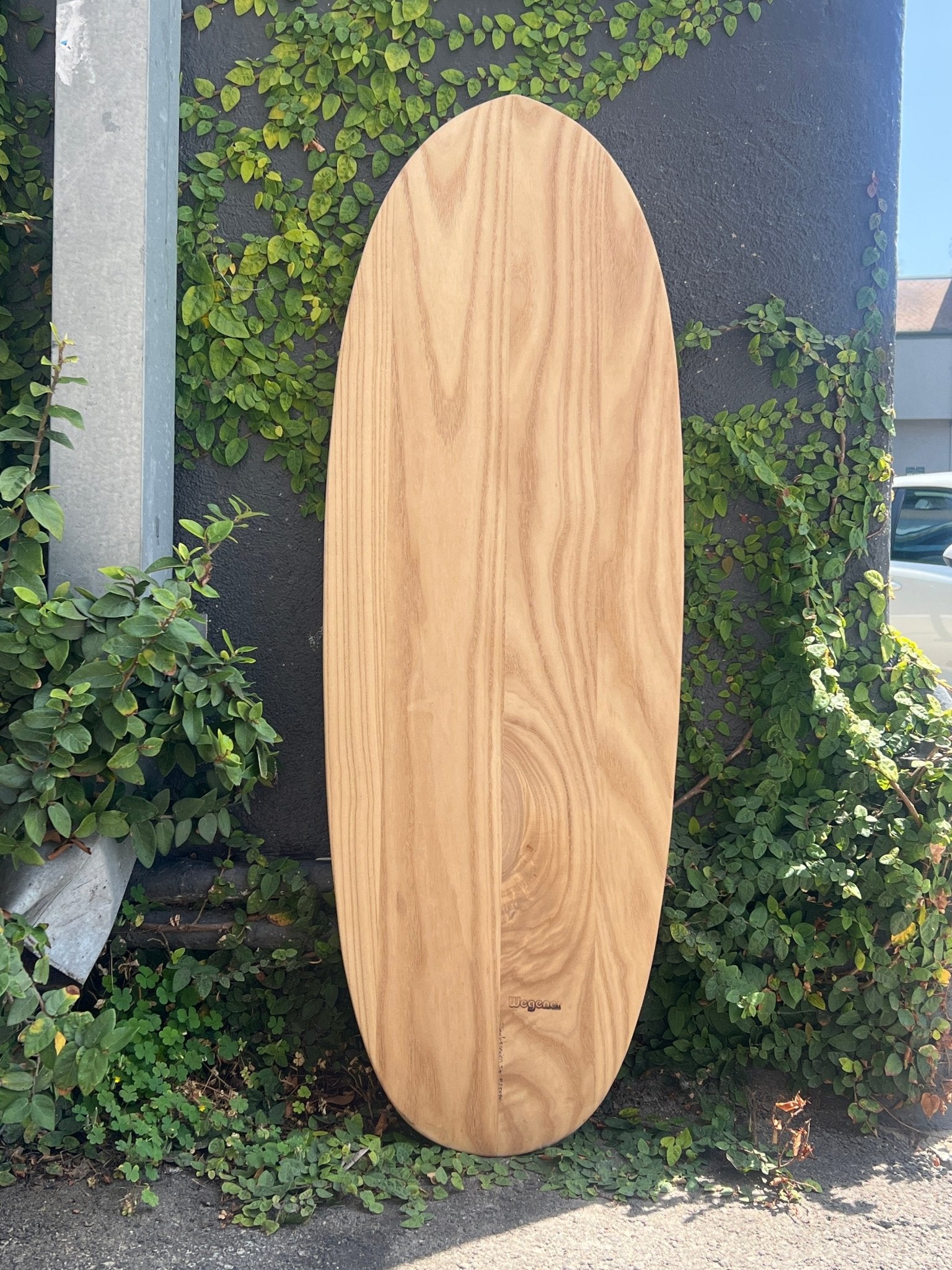 3'10 Wegener Pumpkin Seed Paipo - Mollusk Surf Shop