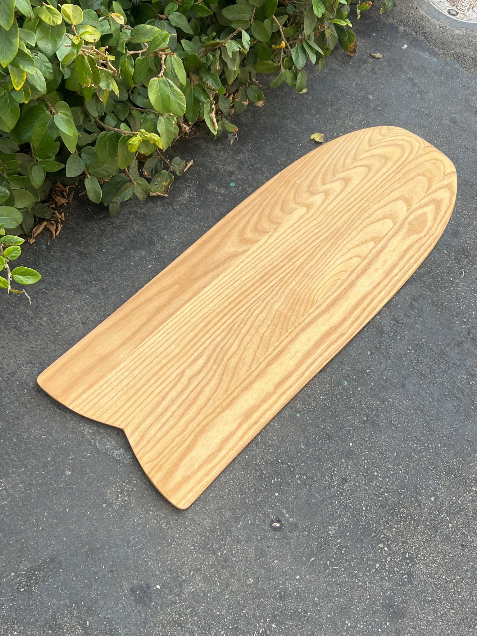 4'1 Wegener Bunt nose Paipo - Mollusk Surf Shop