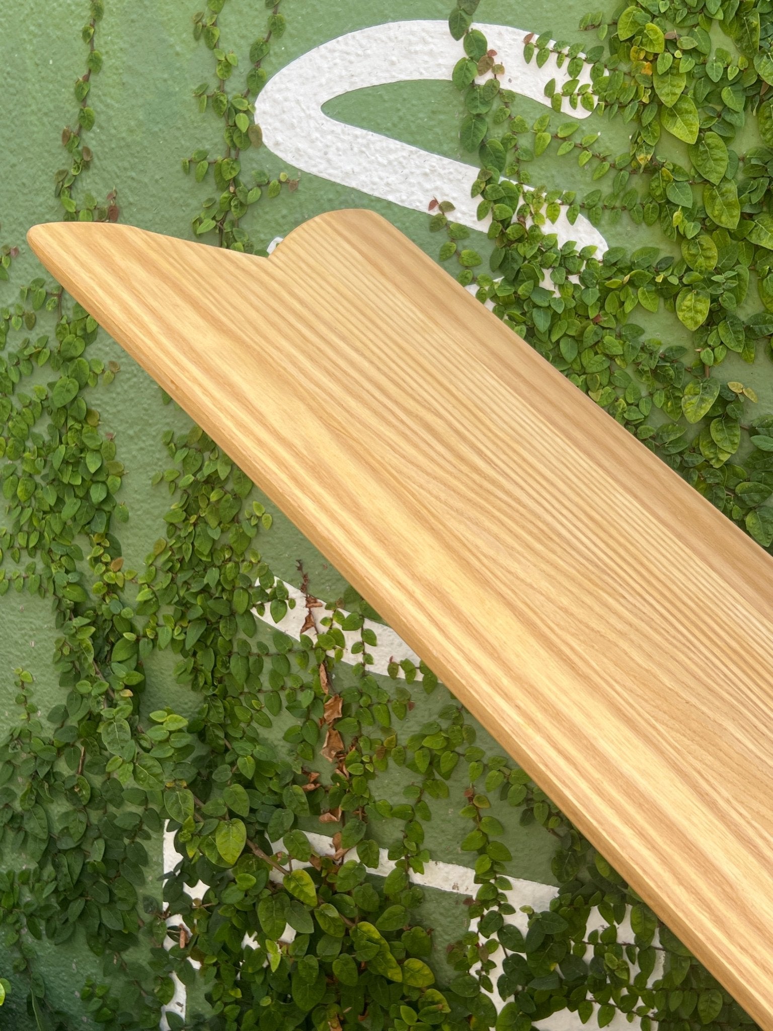 4'1 Wegener Bunt nose Paipo - Mollusk Surf Shop - description