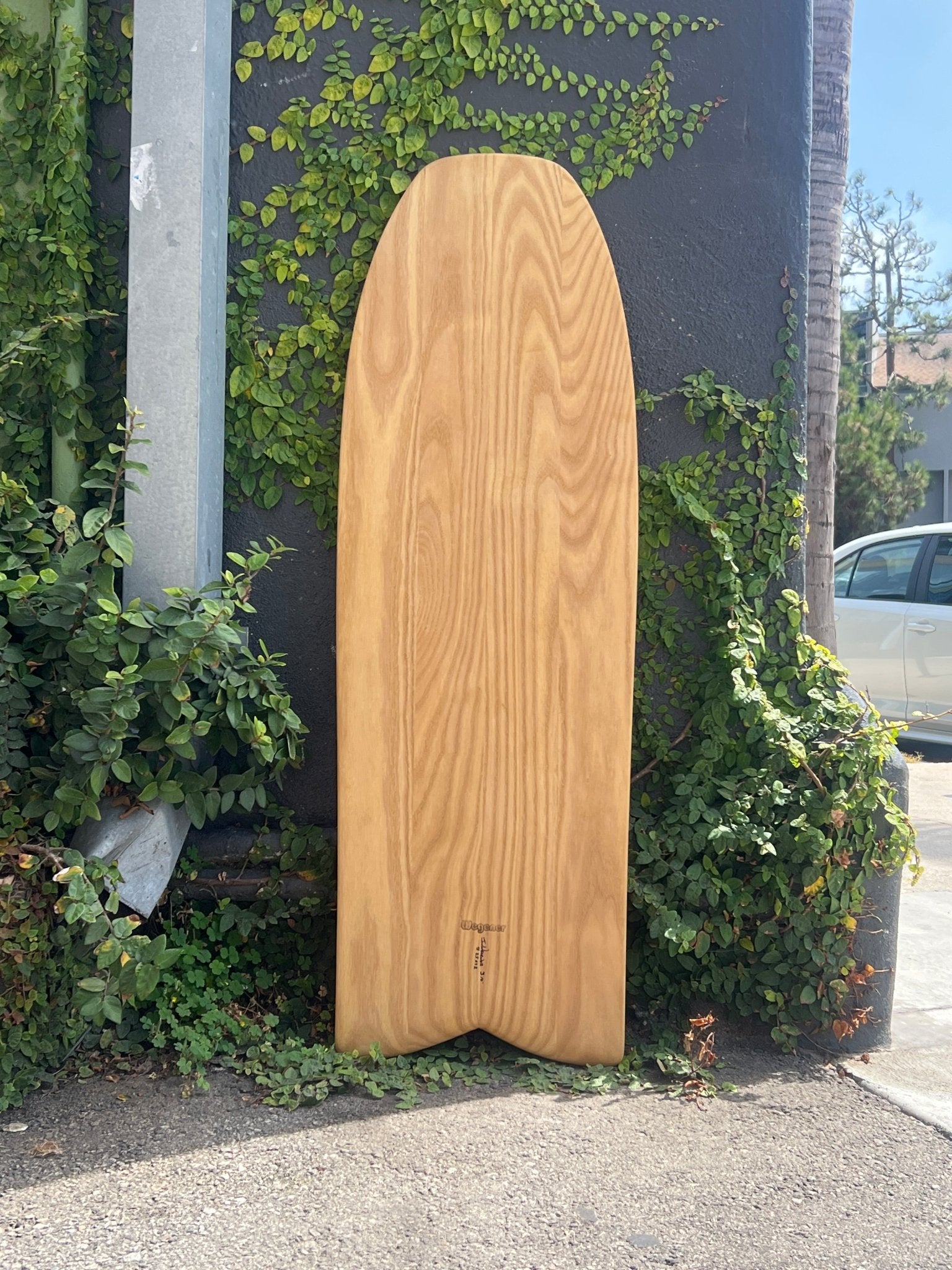 4'1 Wegener Bunt nose Paipo - Mollusk Surf Shop