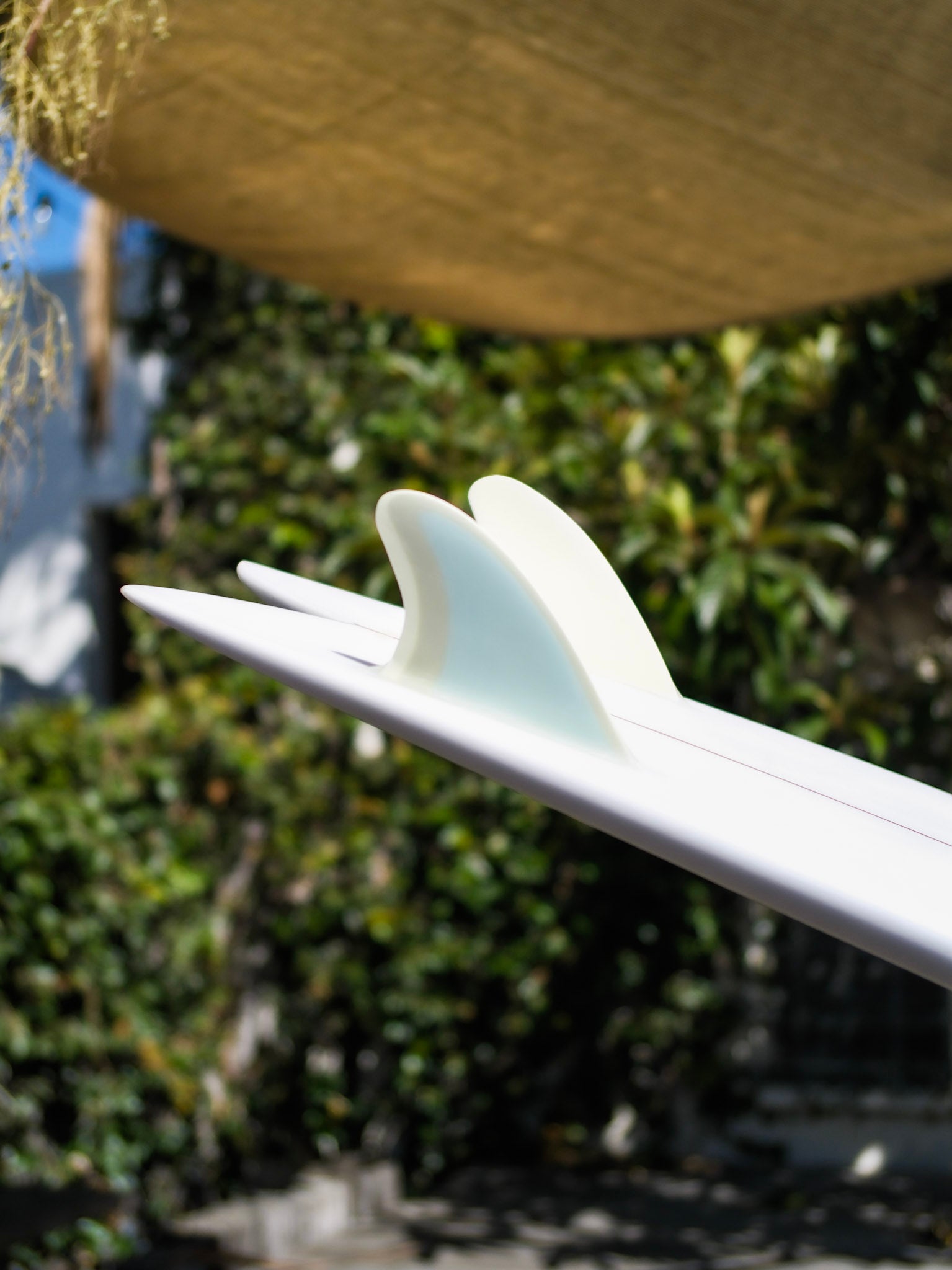5'10 Jeff Svoboda Fish - Mollusk Surf Shop - description