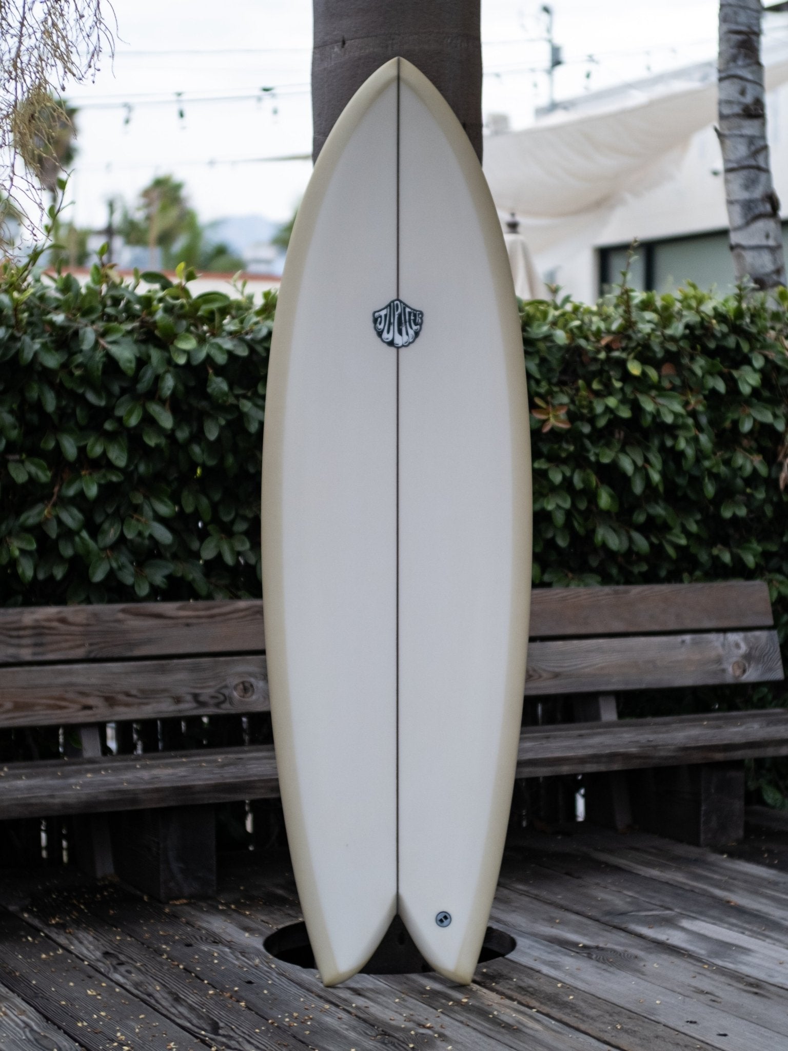 5'10 Jupiter Quad Fish - Mollusk Surf Shop