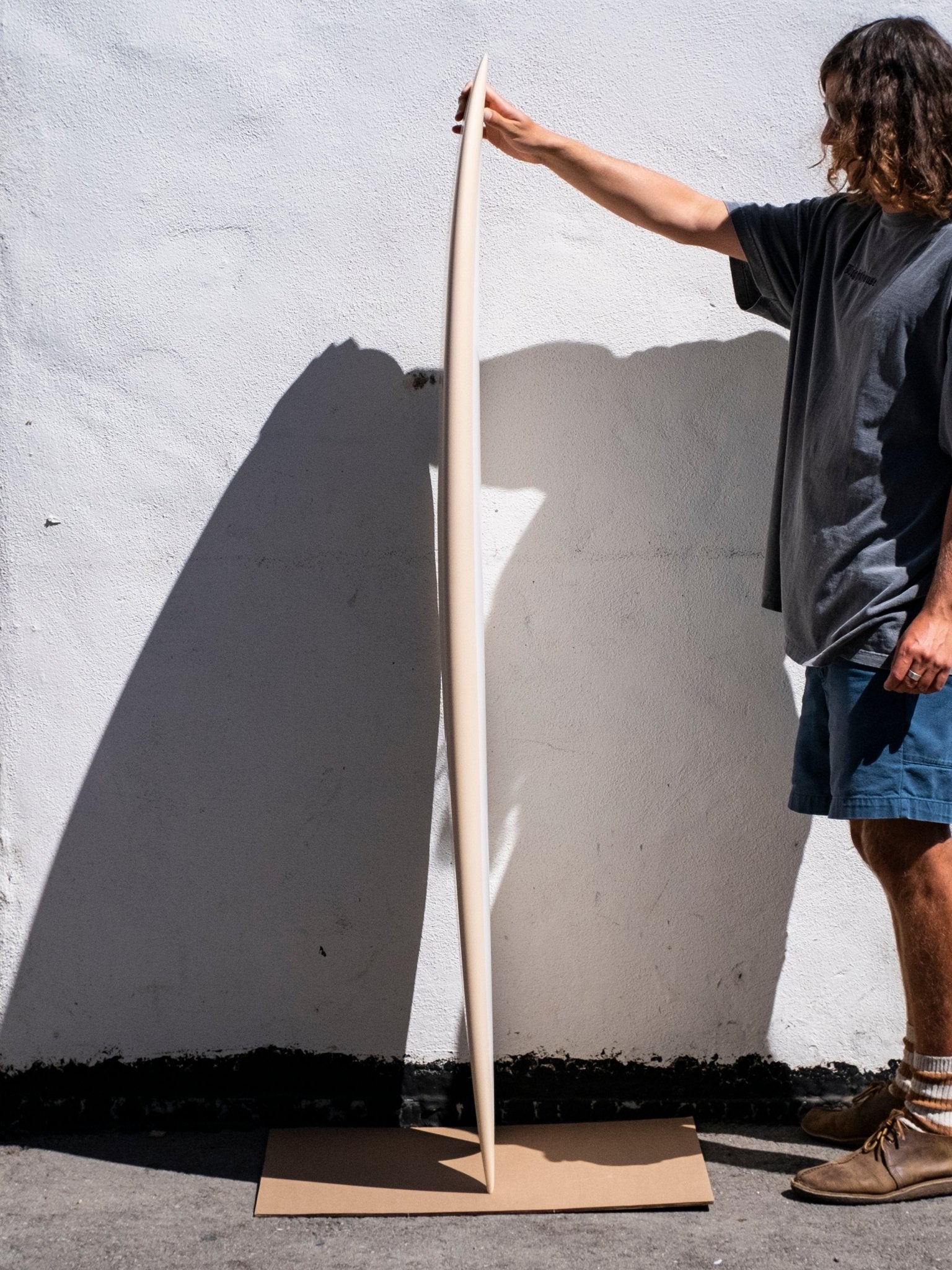5'10 Radio Classic Fish - Mollusk Surf Shop