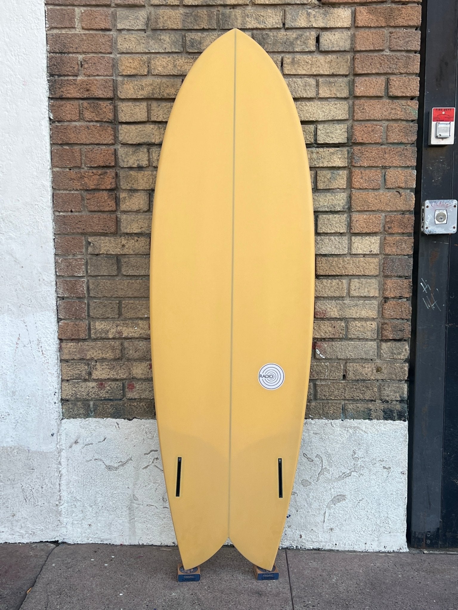 5'10 Radio Classic Fish - Mollusk Surf Shop