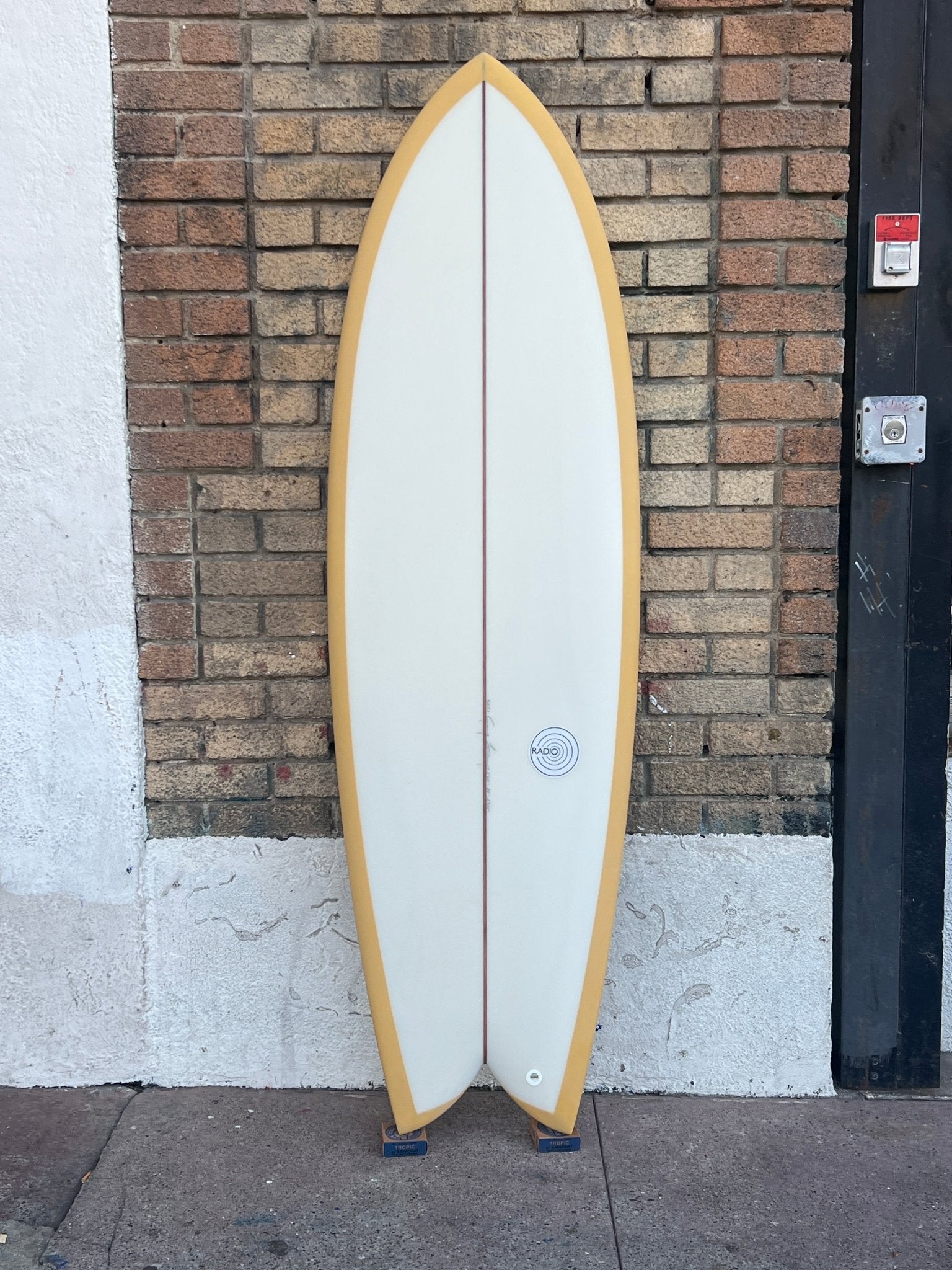 5'10 Radio Classic Fish - Mollusk Surf Shop