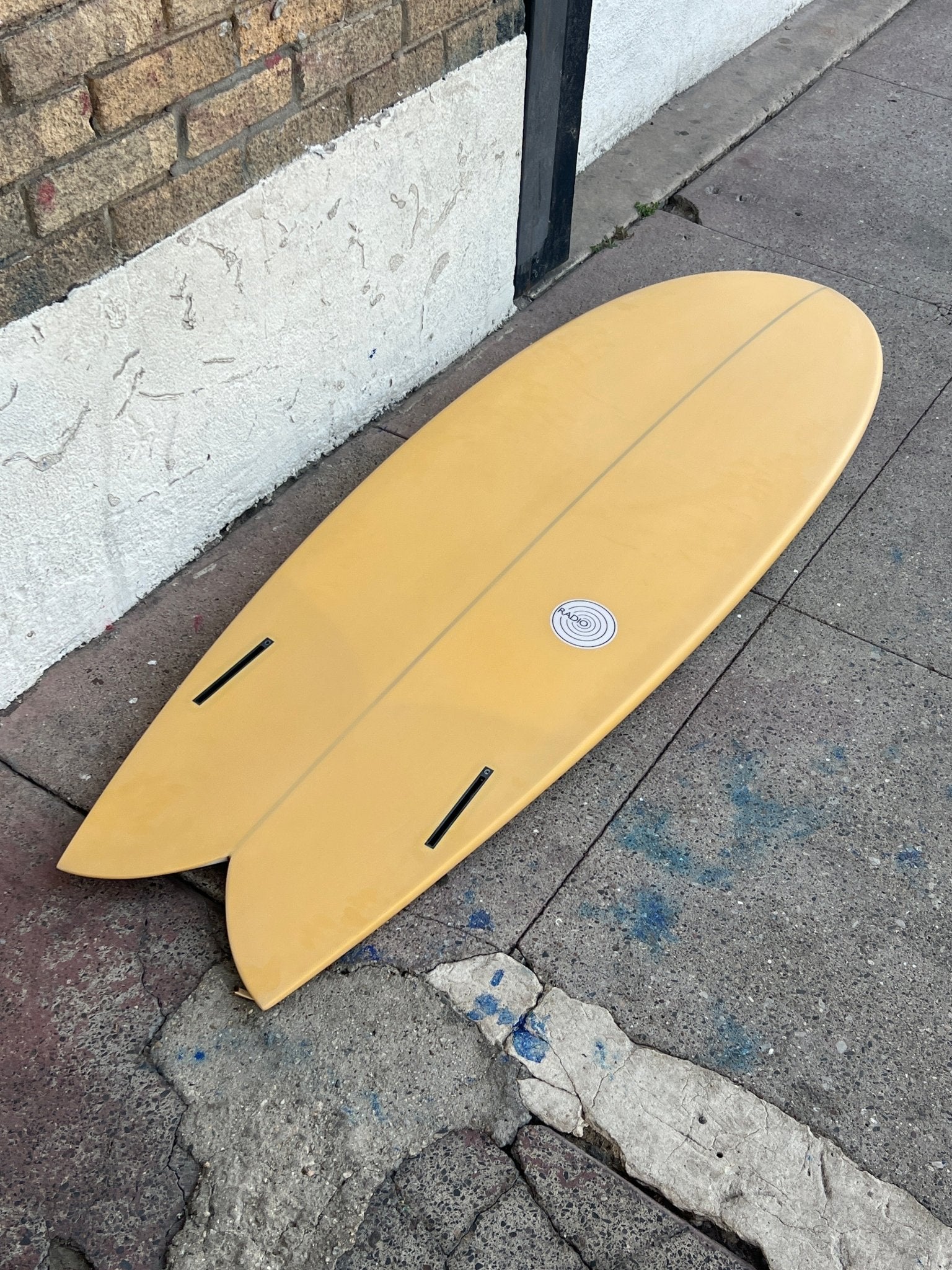 5'10 Radio Classic Fish - Mollusk Surf Shop