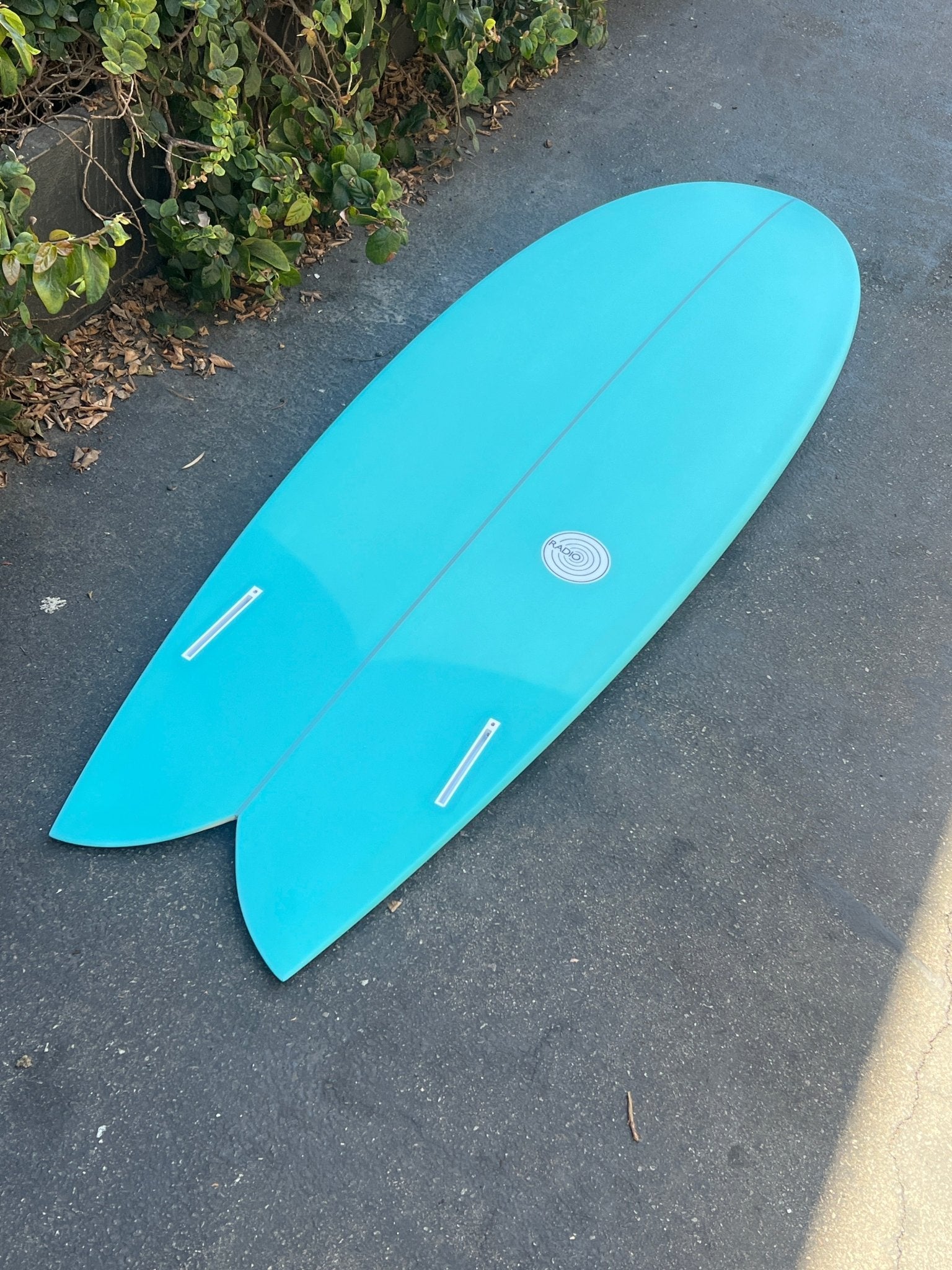 5'10 Radio Classic Fish - Mollusk Surf Shop