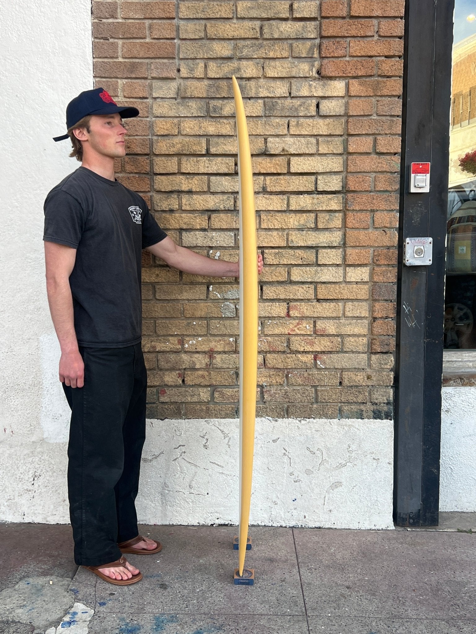 5'10 Radio Classic Fish - Mollusk Surf Shop