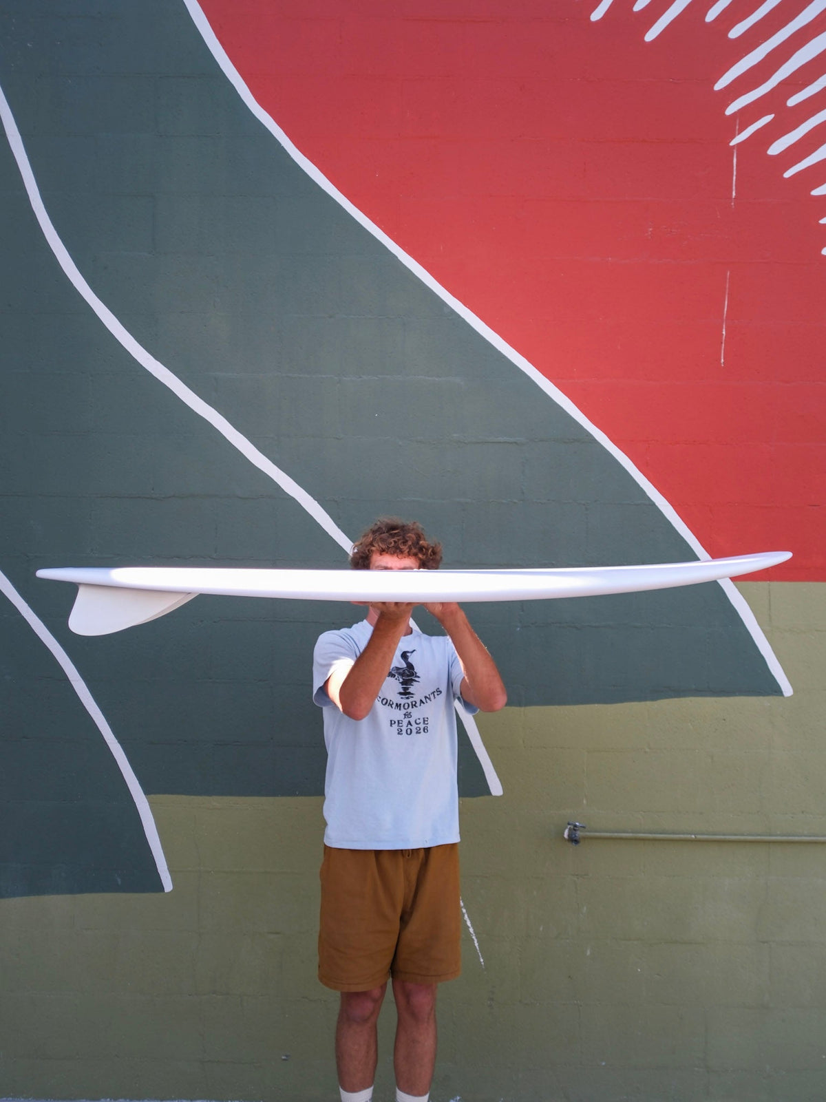 5'10 Tyler Warren Bar of Soap - Mollusk Surf Shop