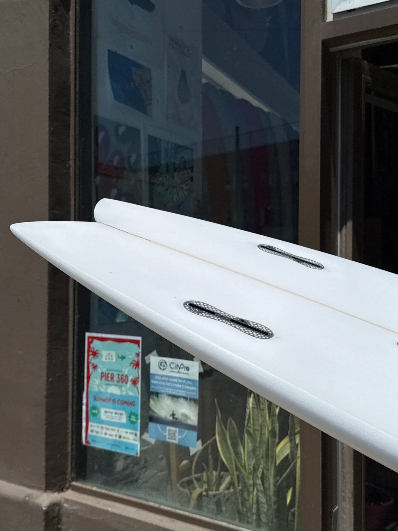 5'10 Zippi Fish - Mollusk Surf Shop - description