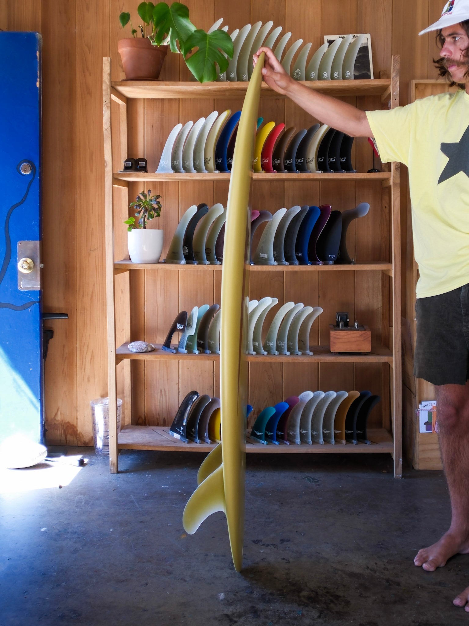 5'5 Jeff Svoboda Tarotplane - Mollusk Surf Shop