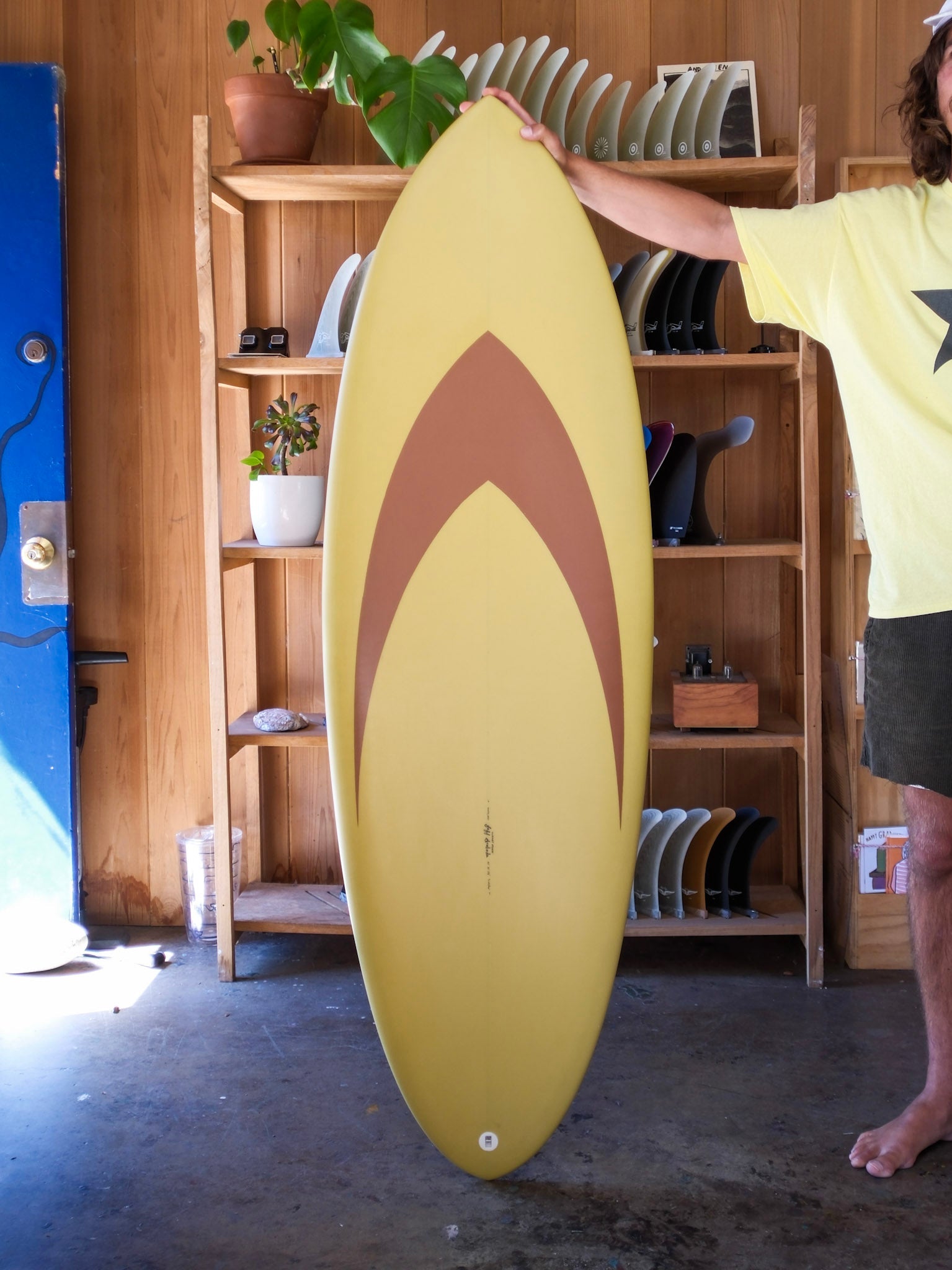 5'5 Jeff Svoboda Tarotplane - Mollusk Surf Shop
