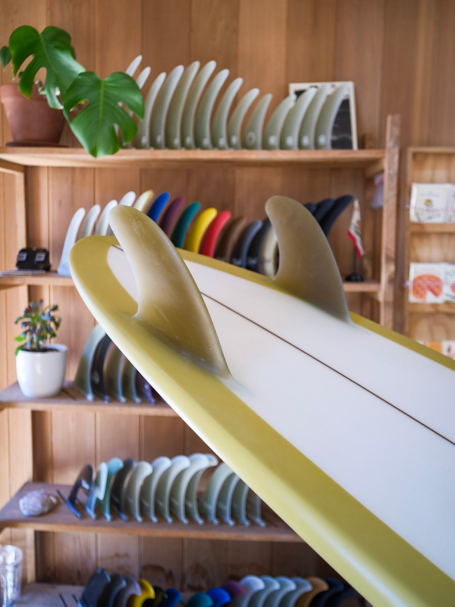 5'5 Jeff Svoboda Tarotplane - Mollusk Surf Shop - description