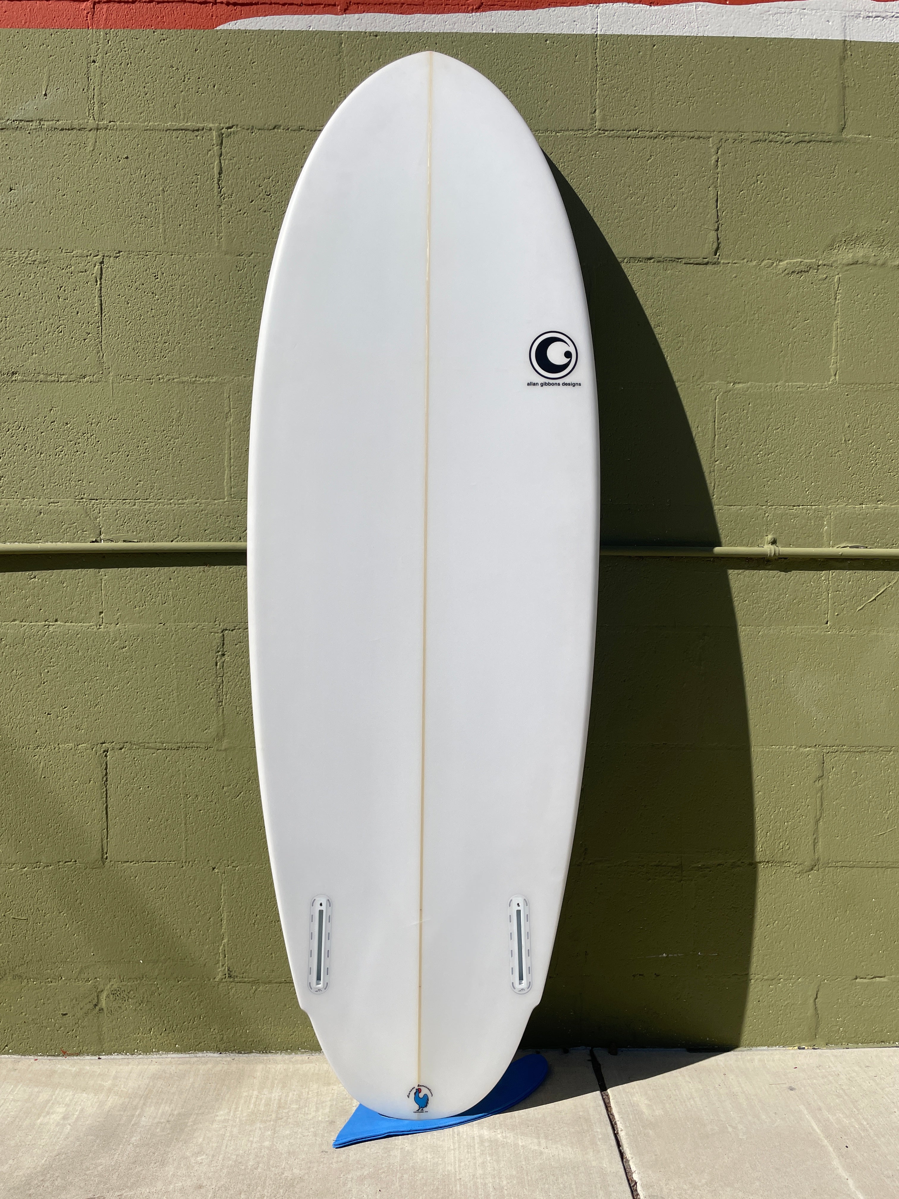 5'6 Allan Gibbons Twin Egg - Mollusk Surf Shop