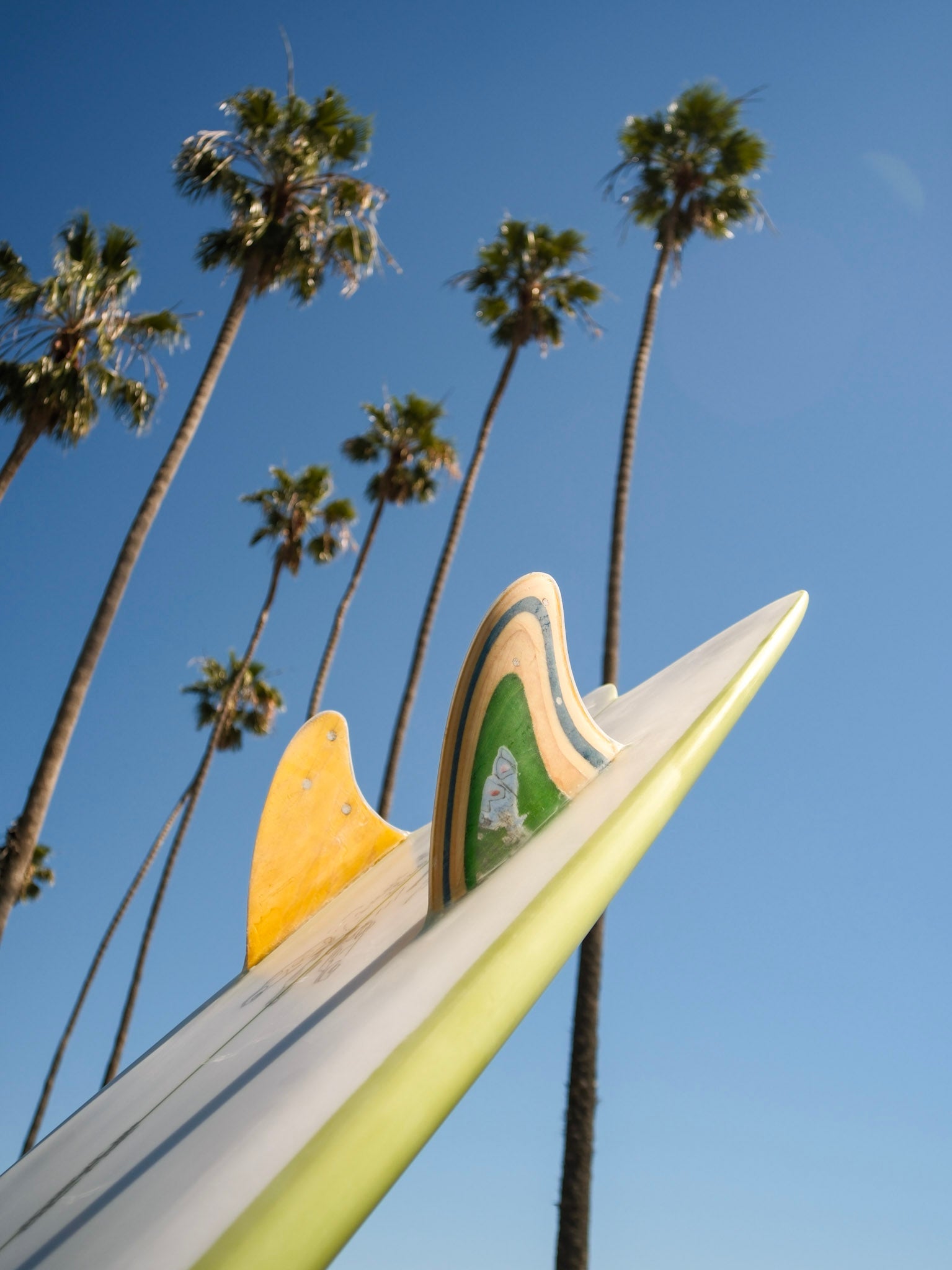 5'6 Beau Turbo Fish (Isamu) - Mollusk Surf Shop