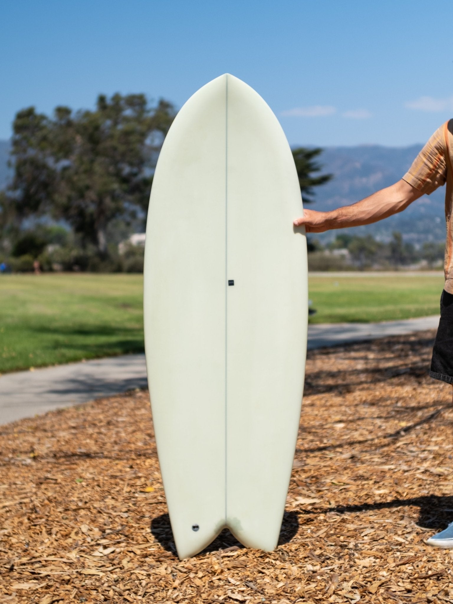 5'6 Beau Turbo Fish - Mollusk Surf Shop