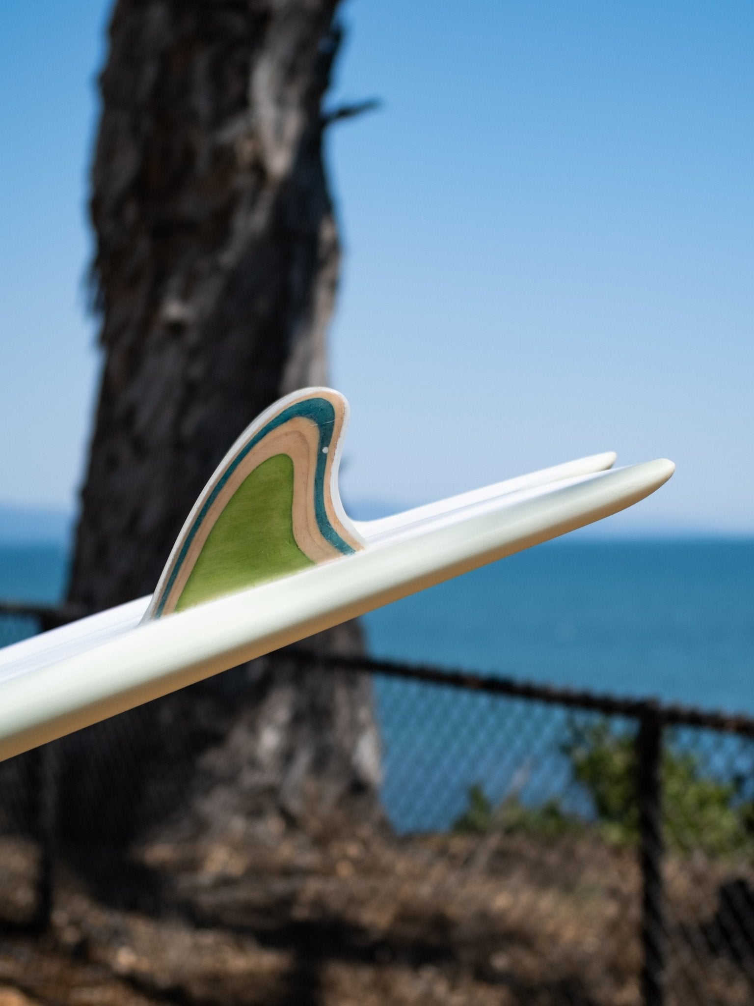 5'6 Beau Turbo Fish - Mollusk Surf Shop - description