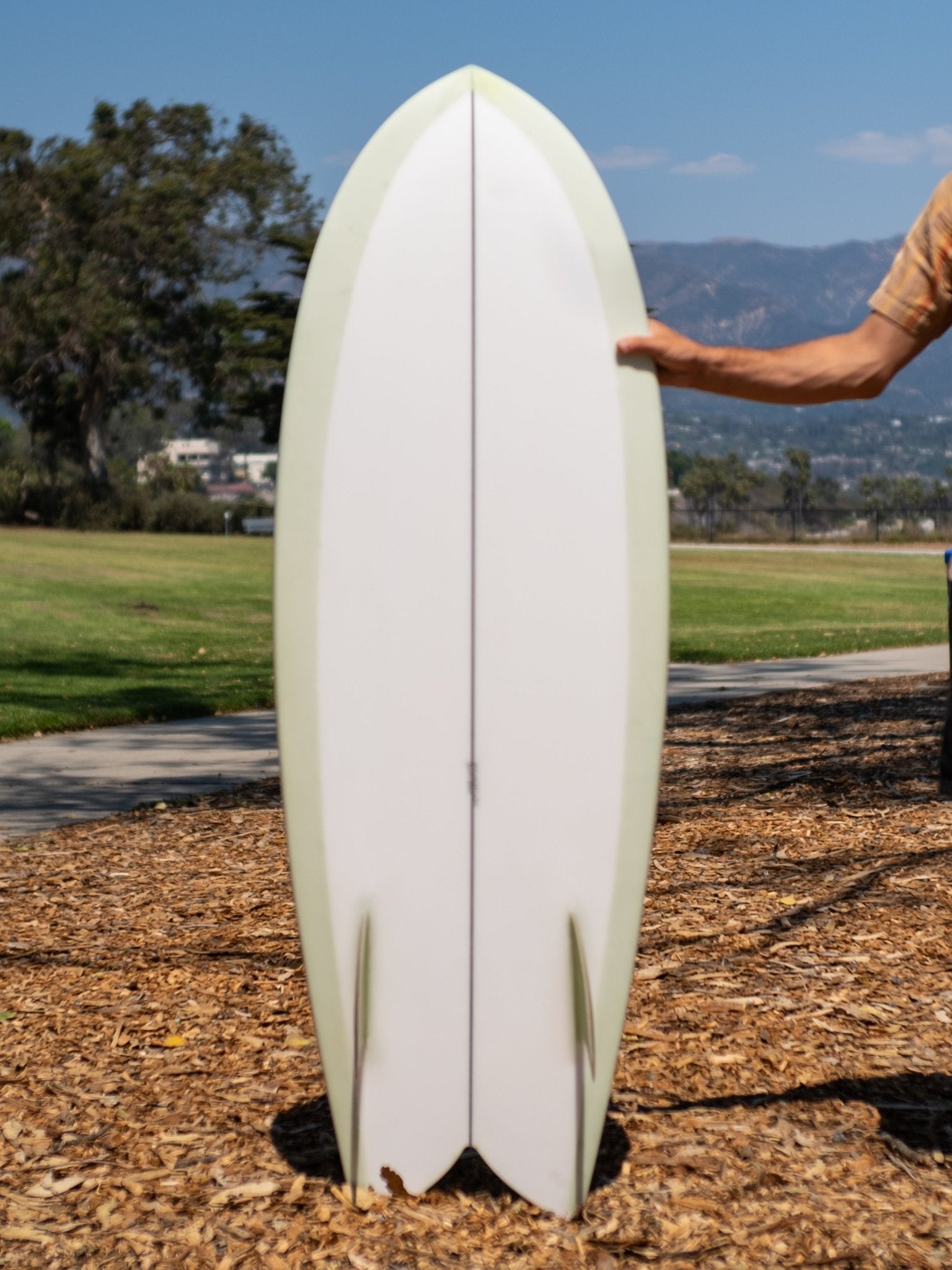5'6 Beau Turbo Fish - Mollusk Surf Shop
