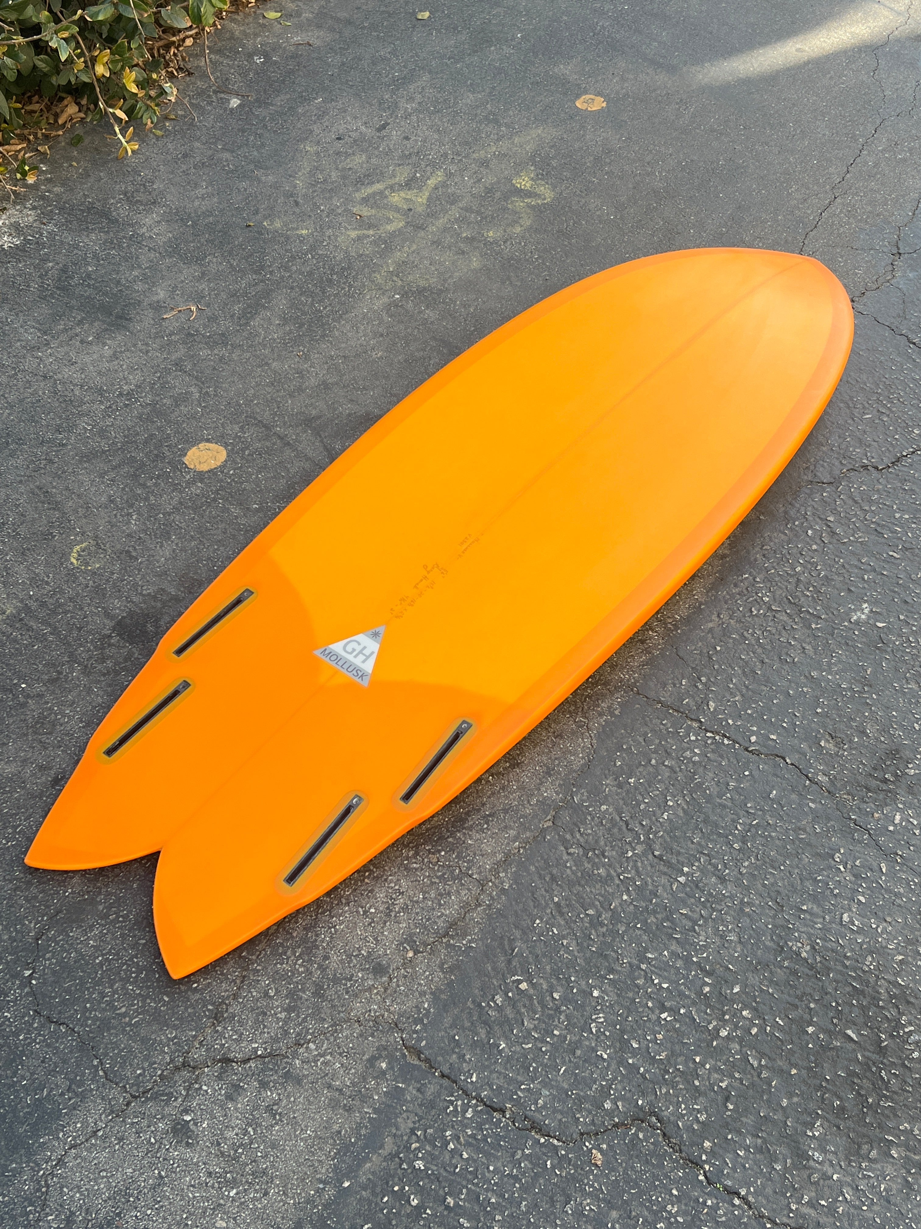 5'6 Gary Hanel Q Fish - Mollusk Surf Shop