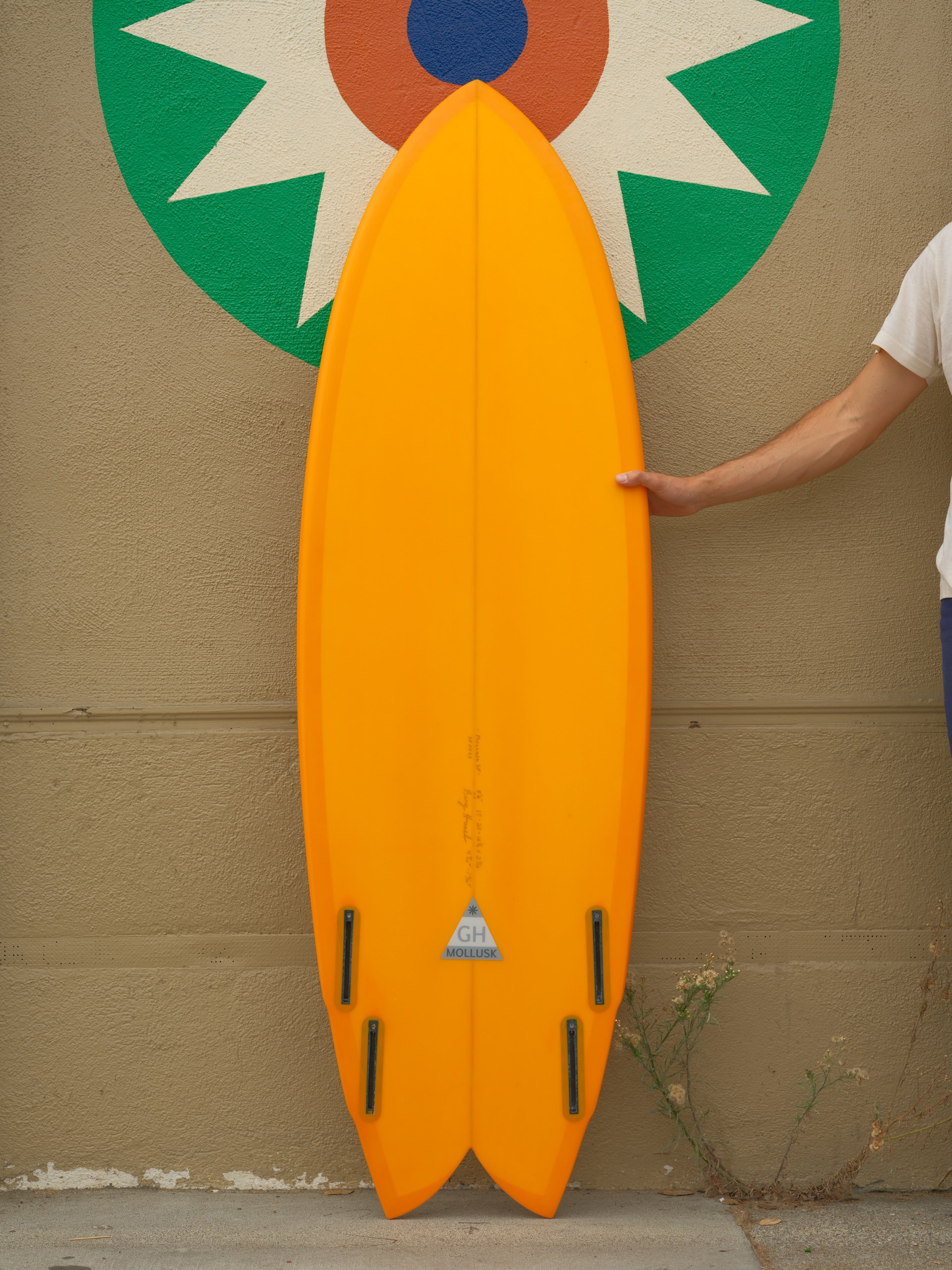 5'6 Gary Hanel Q Fish - Mollusk Surf Shop