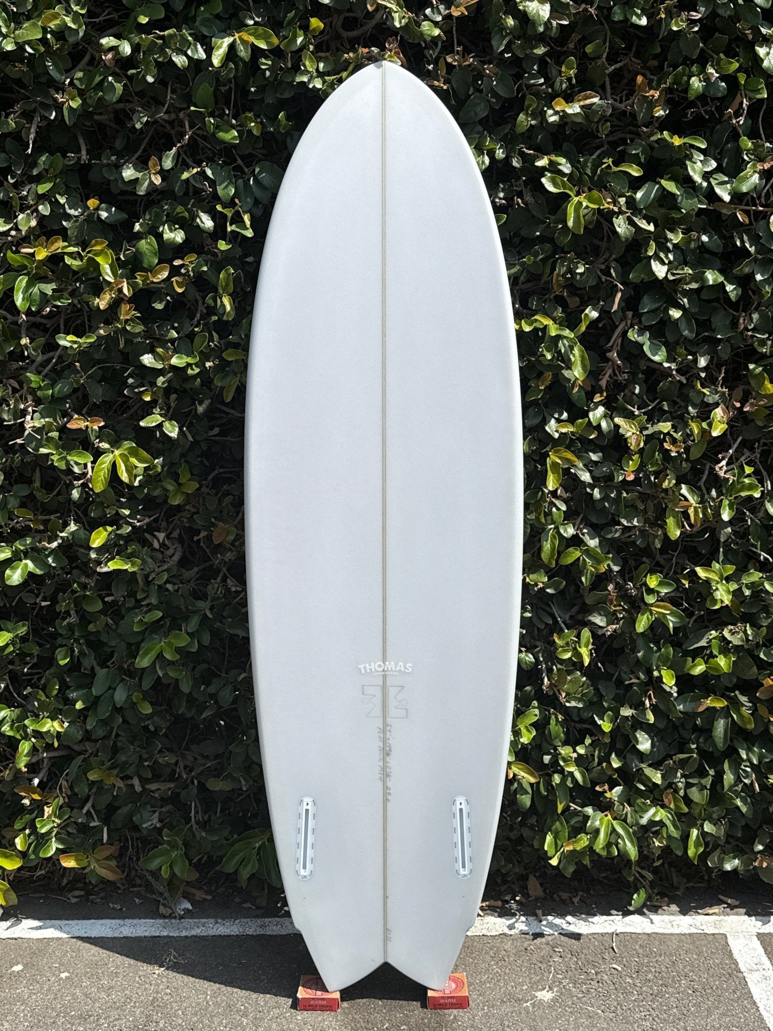 5'6 Thomas Flat Deck Fish - Mollusk Surf Shop