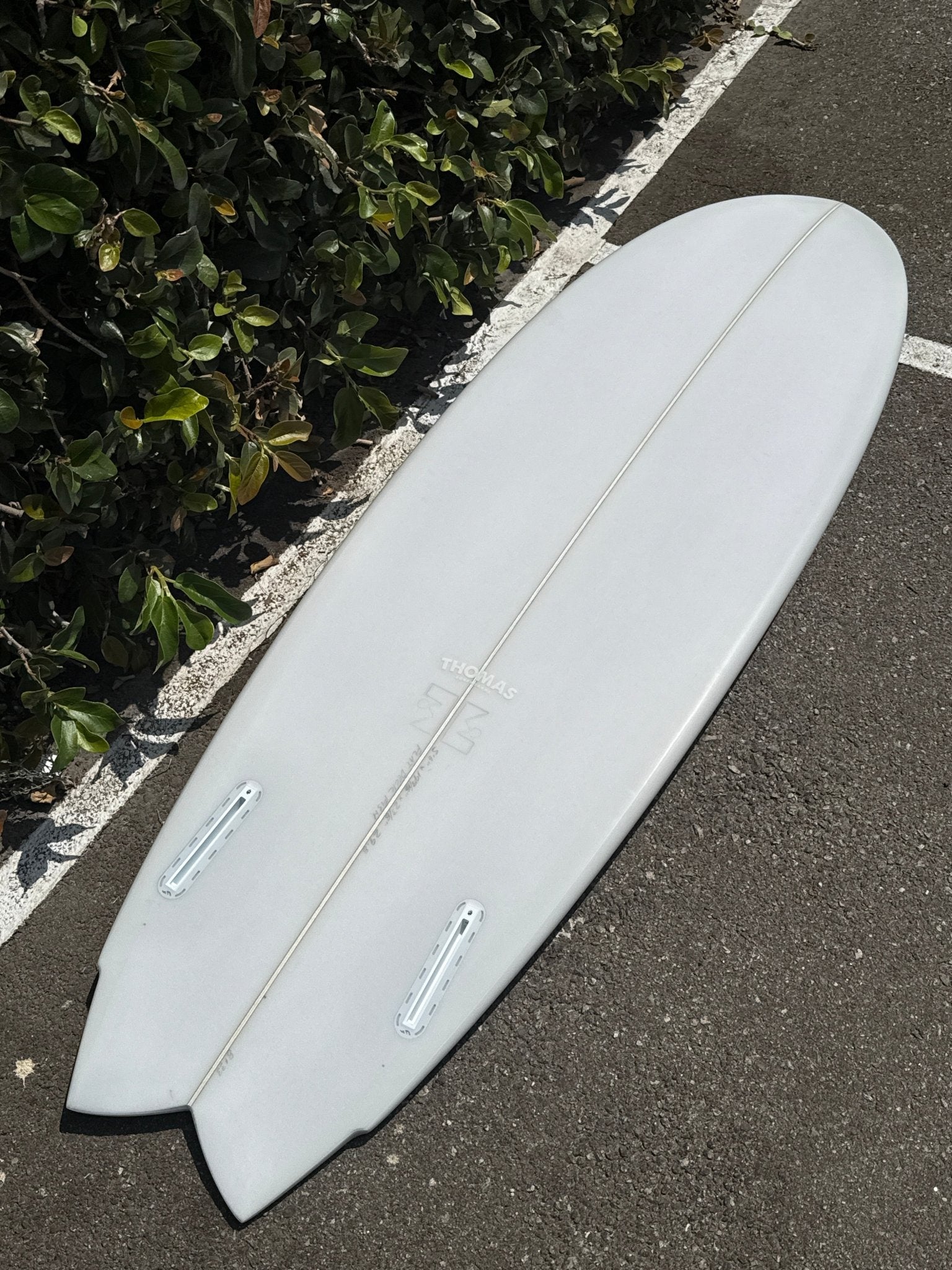 5'6 Thomas Flat Deck Fish - Mollusk Surf Shop